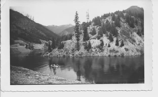 image for Looking Up Near French Creek